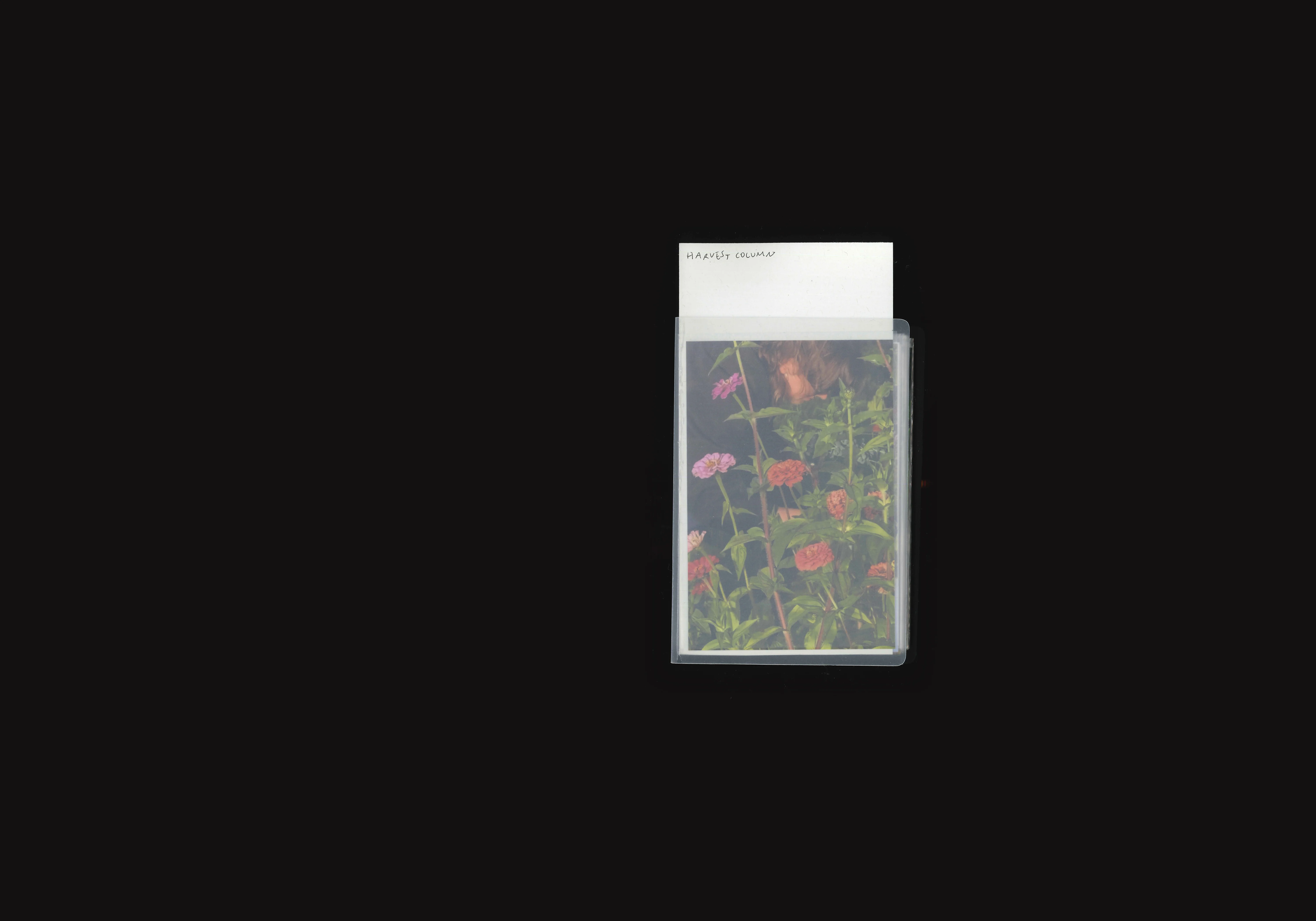 Harvest Column, image 1
